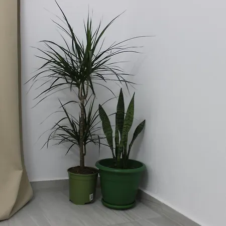 Besa & Séjour chez l'habitant *